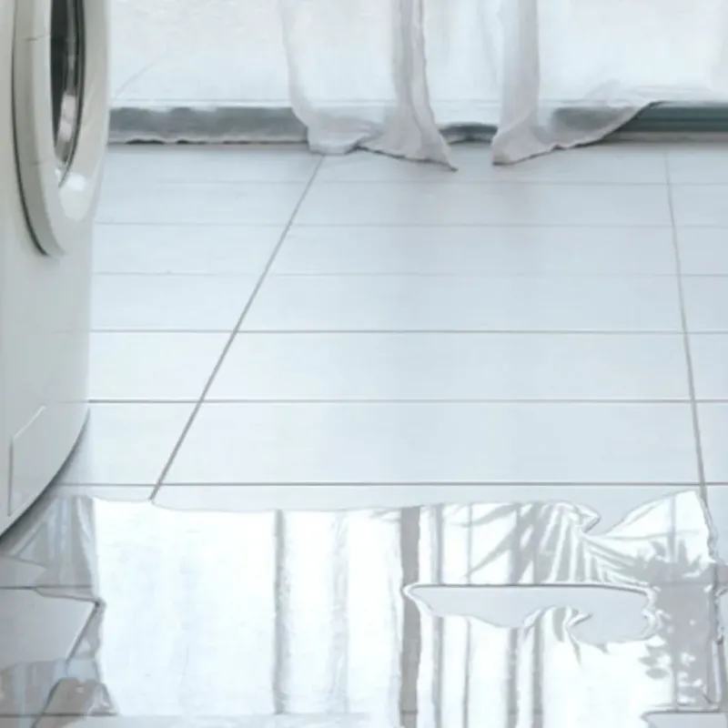 Appliance Leak Cleanup in Livonia, NY