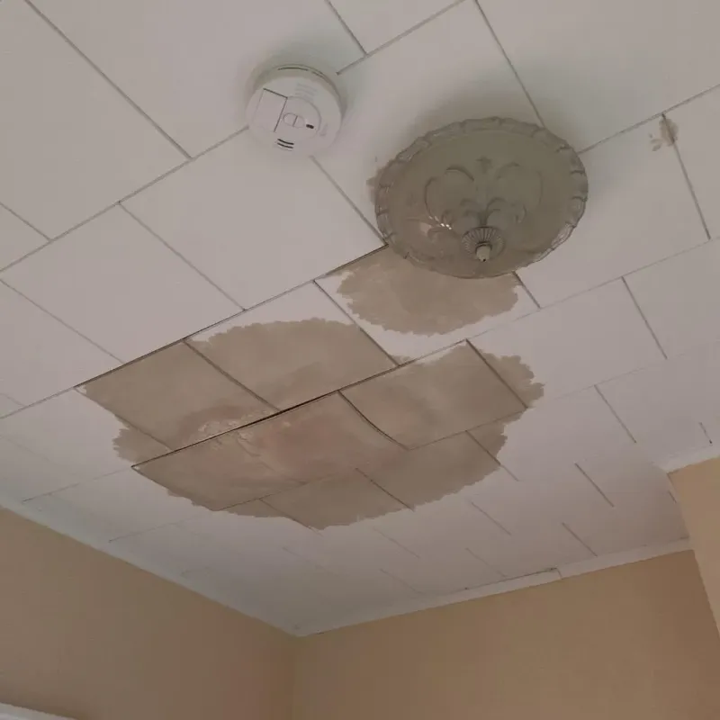 Ceiling Water Damage Repair in Livonia, NY