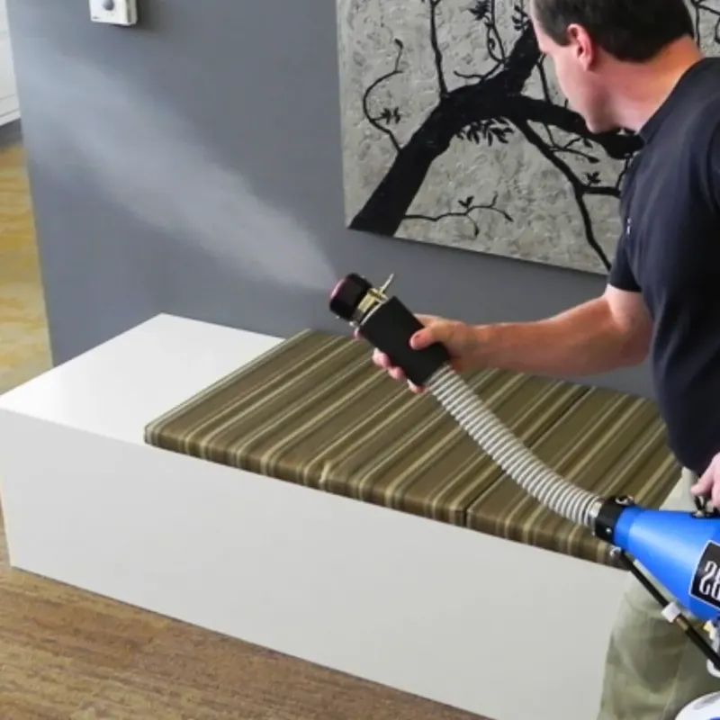 Professional Odor Removal in Livonia, NY